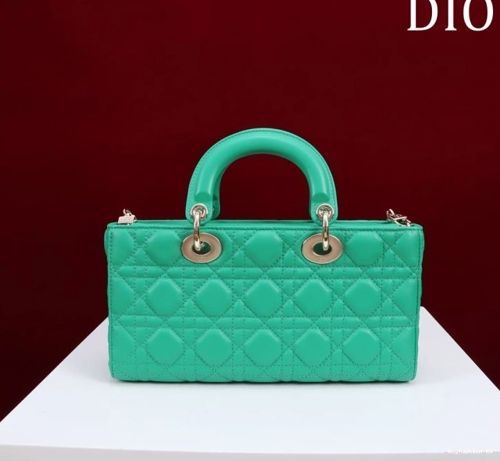 71064 Christian Dior Original My Lady Bags 0813
